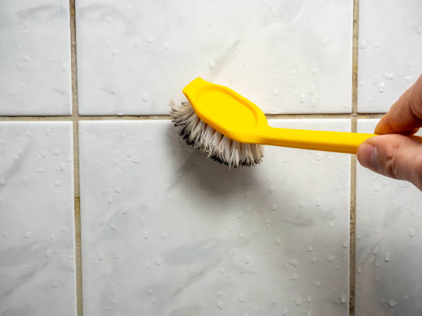 Best Commercial Mold Removal  in Palmyra, MO