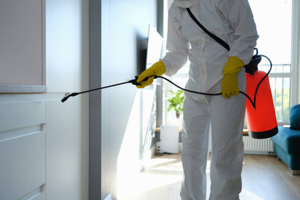 Best Emergency Mold Removal  in Palmyra, MO